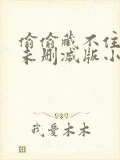 偷偷藏不住小说未删减版小说免费阅读完整版