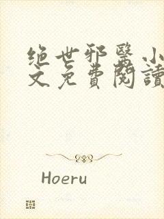 绝世邪医小说全文免费阅读封面