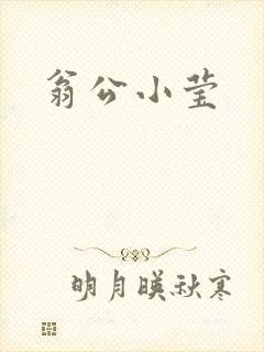 翁公小莹