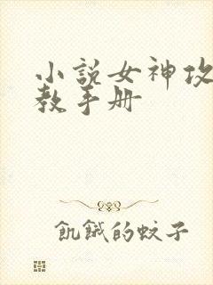 小说女神攻略调教手册