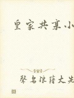 皇家共享小公主封面