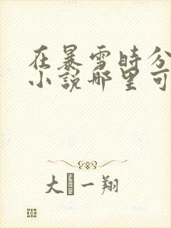 在暴雪时分原著小说哪里可以看