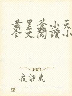 黄昊苍小天妈妈全文阅读小说封面