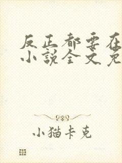 反正都要在一起小说全文免费阅读