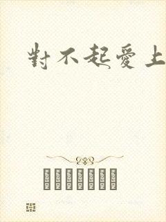 对不起爱上你