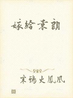 嫁给袁朗