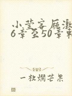小莹客厅激情46章至50章软件介绍