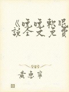 《晚晚软眠》小说全文免费阅读