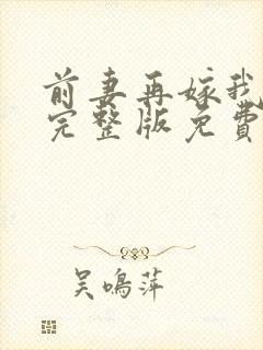 前妻再嫁我一次完整版免费阅读封面