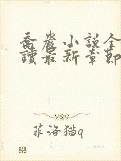 乔岩小说全文阅读最新章节封面