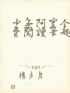 少年阿宾全文免费阅读笔趣阁封面