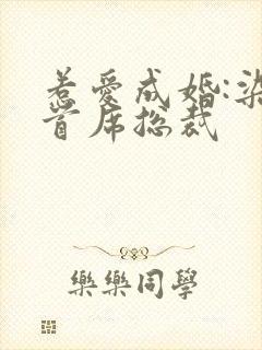 惹爱成婚:染指首席总裁