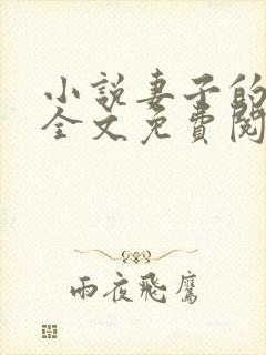 小说妻子的秘密全文免费阅读全文