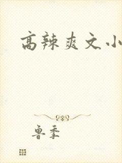 高辣爽文小说
