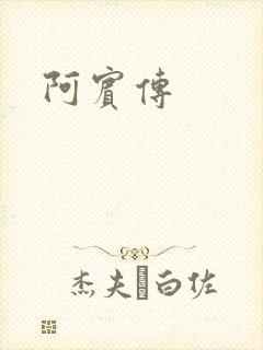 阿宾传封面