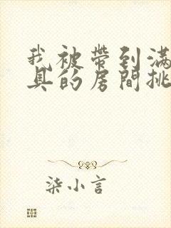 我被带到满是玩具的房间挑调作文