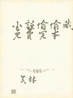 小说偷偷藏不住免费完本