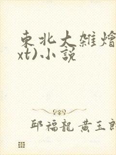 东北大杂烩(txt)小说封面