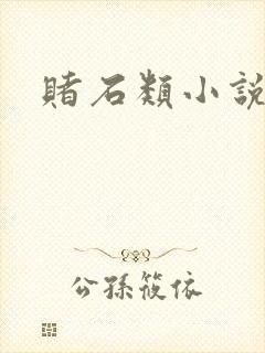 赌石类小说