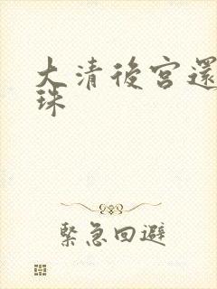 大清后宫还君明珠封面