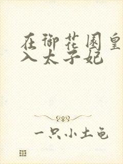 在御花园皇上进入太子妃