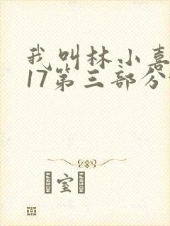 我叫林小喜今年17第三部分txt小说