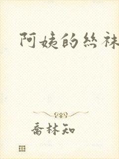 阿姨的丝袜小说
