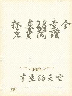 抓灰28章全部免费阅读
