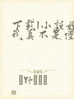 下载l小说嫂子我真不是傻子了全部