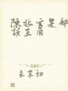 陈北玄是哪本小说主角封面