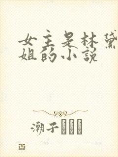 女主是林黛玉姐姐的小说