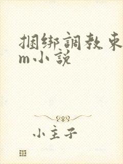 捆绑调教束缚sm小说封面