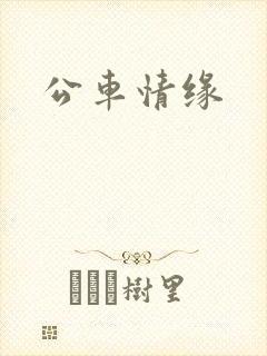 公车情缘