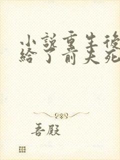 小说重生后我嫁给了前夫死对头