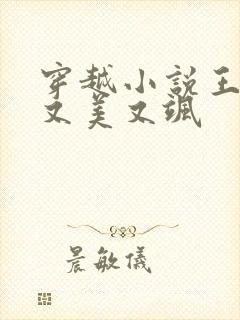 穿越小说王妃她又美又飒封面