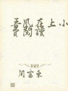 吾凰在上小说免费阅读
