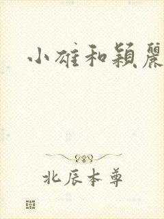 小雄和颖丽