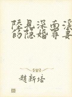 陆见深南溪陆少的隐婚罪妻