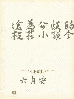 沧为公歧的清纯校花小说全文在线阅