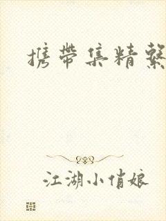 携带集精系统