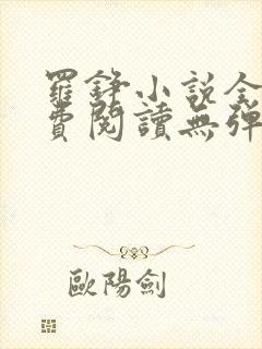 罗铮小说全文免费阅读无弹窗