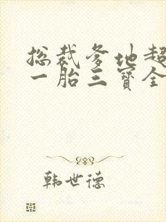 总裁爹地超给力一胎三宝全文免费阅读封面
