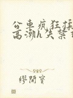 公车疯狂揉肉蒂高潮h失禁视频