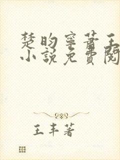 楚昀宁萧王穿越小说免费阅读无弹窗