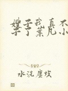 嫂子我真不是傻子了叶凡小说全文阅读封面