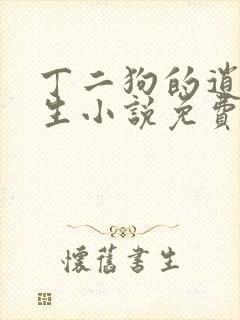 丁二狗的逍遥人生小说免费