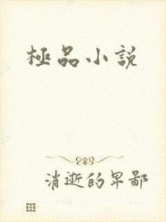 极品小说