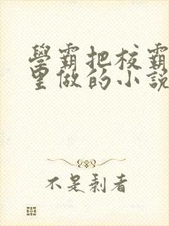 学霸把校霸往死里做的小说封面