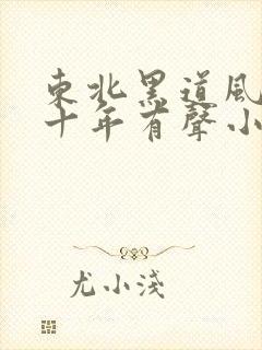 东北黑道风云二十年有声小说免费听封面