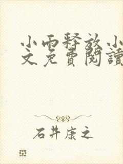 小雨释放小说全文免费阅读最新章节封面